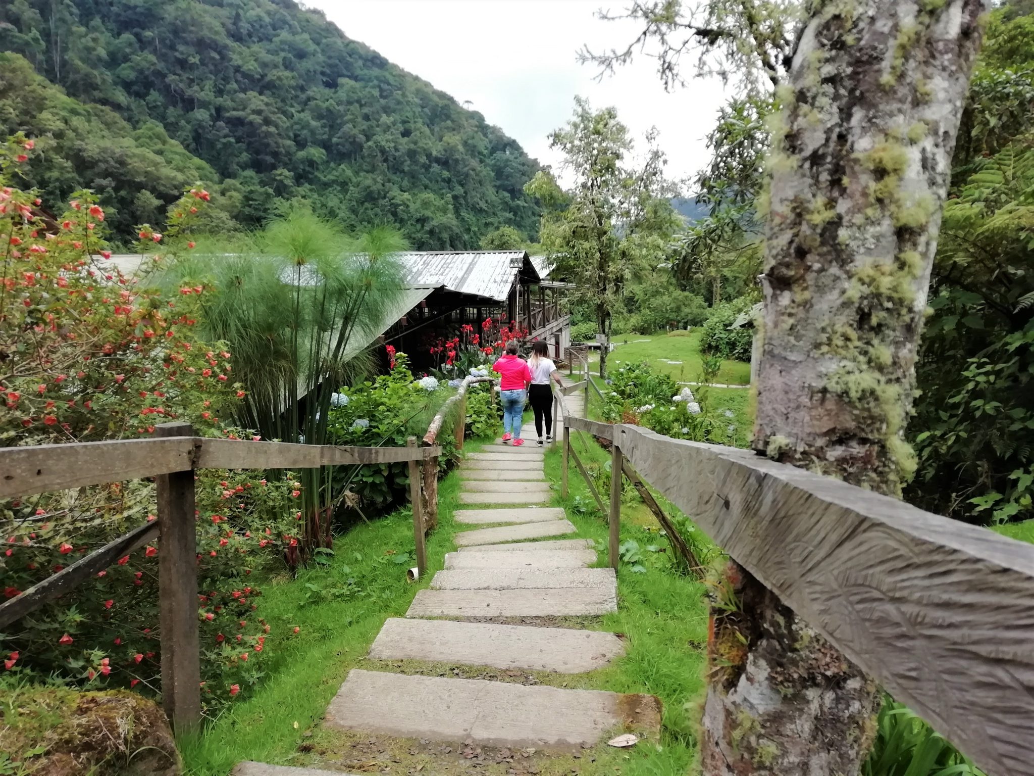 Termales de San Vicente - Santa Rosa de Cabal - Reserva Natural - Eje Cafetero - Colombia - Plan con Transporte 1- Mamá