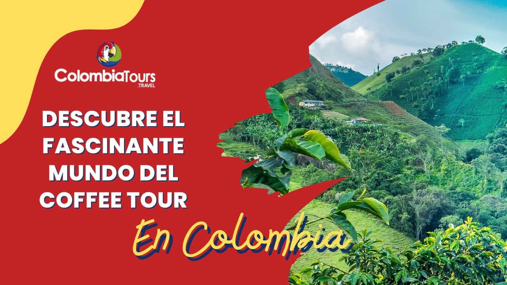 Descubre el Fascinante Mundo del Coffee Tour\nen Colombia