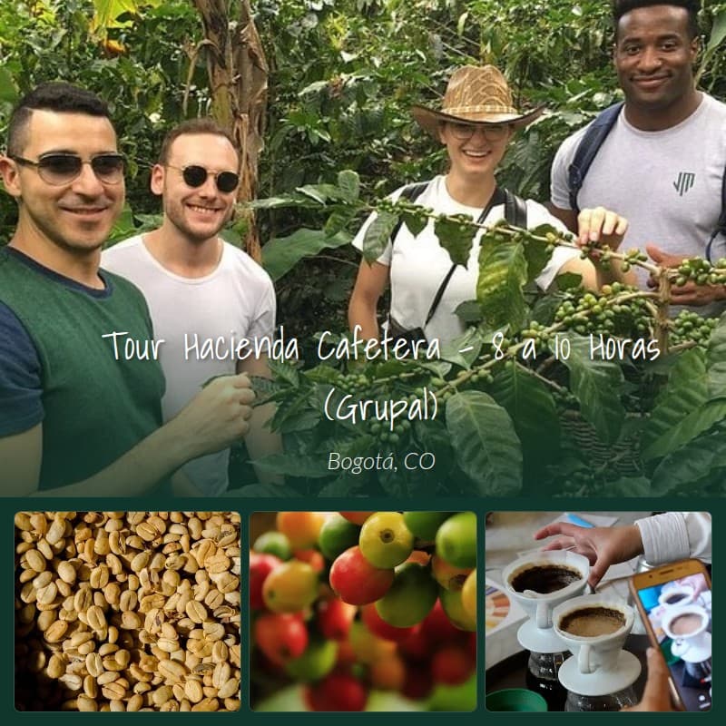Haciendas cafeteras centenarias y boutiques en Salento