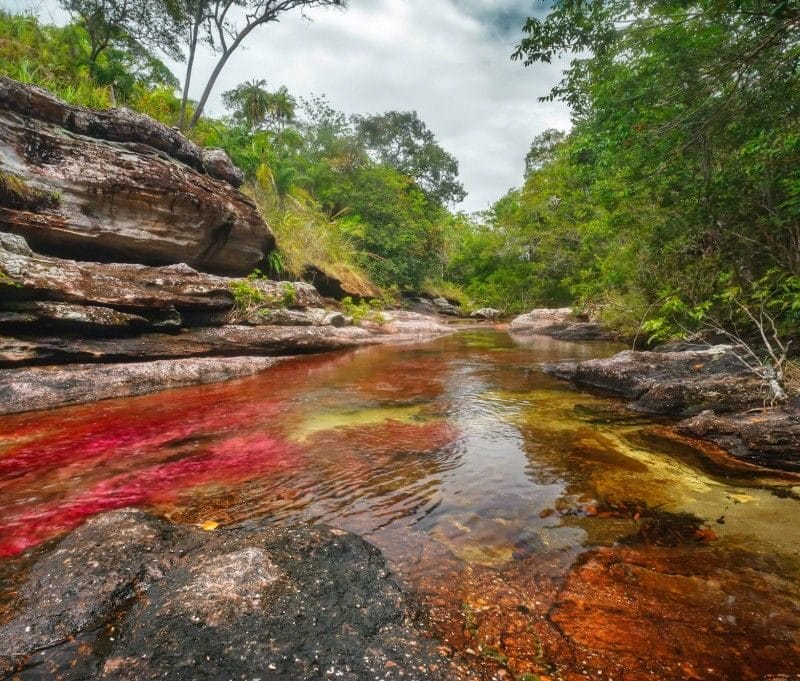 Guía de Viajes Caño Cristales Colombia, Meta, La Macarena, River Colombia, Planes de Viaje, Recomendaciones para viajar a Caño Cristales, Dónde queda, Cómo llegar