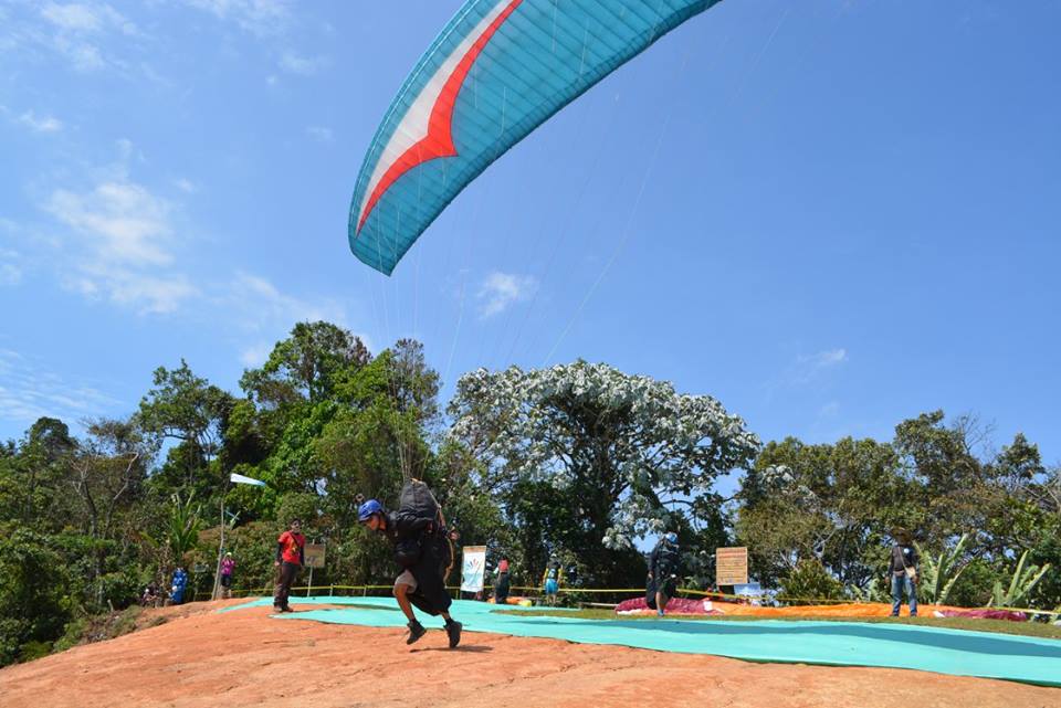 Paragliding Apia flight