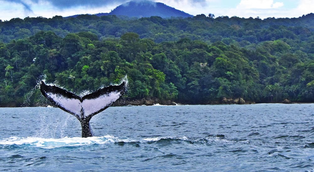 nuqui tierra de aventuras