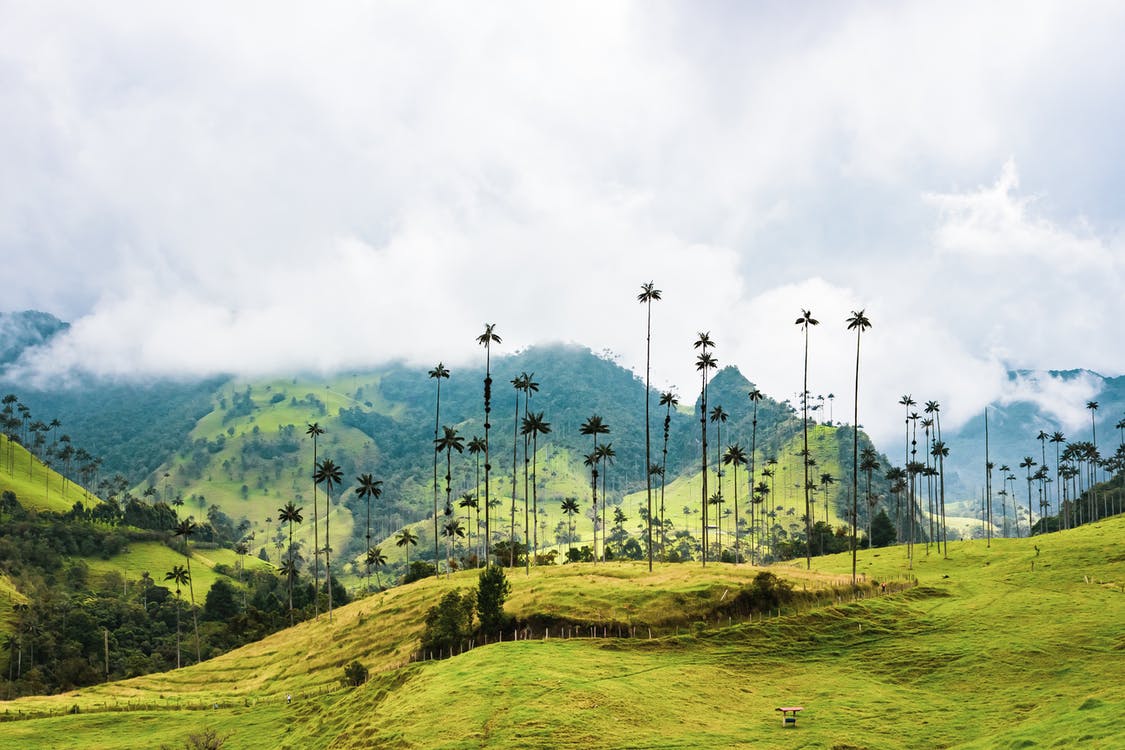 tours a colombia desde panama