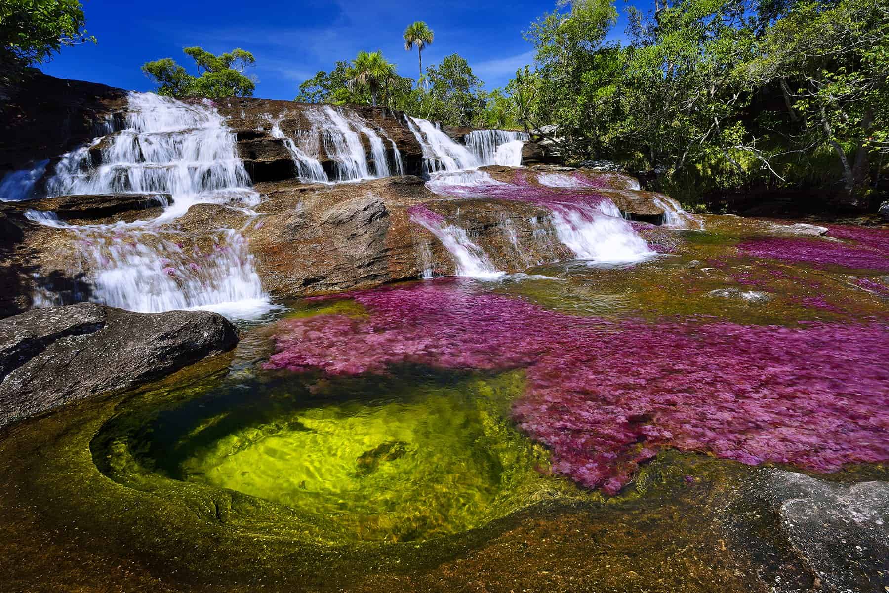 el rio de colores en Colombia