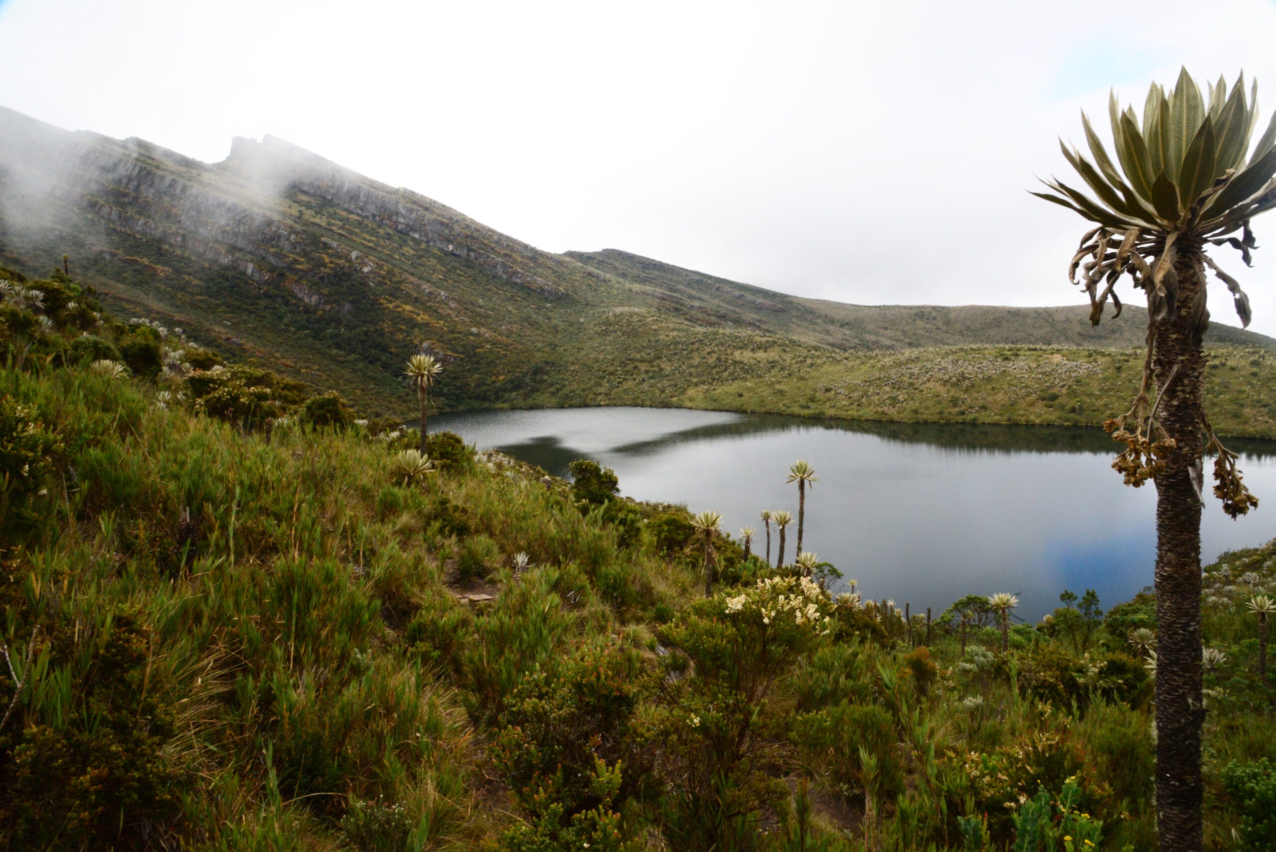 Parque Nacional Natural Chingaza - Parques Nacionales Naturales de Colombia