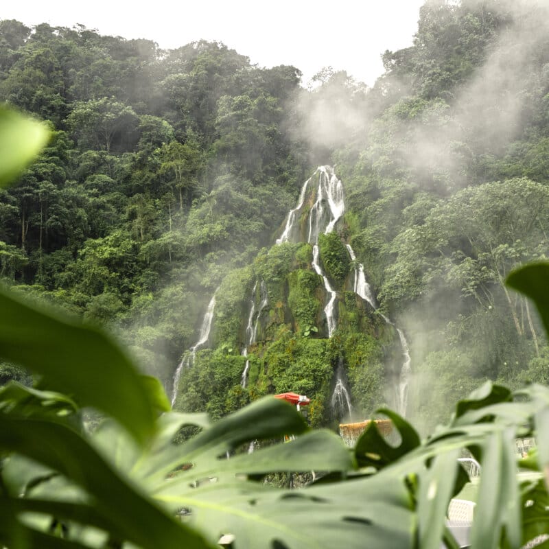 viajes a colombia - Planes para Hacer en el Eje Cafetero