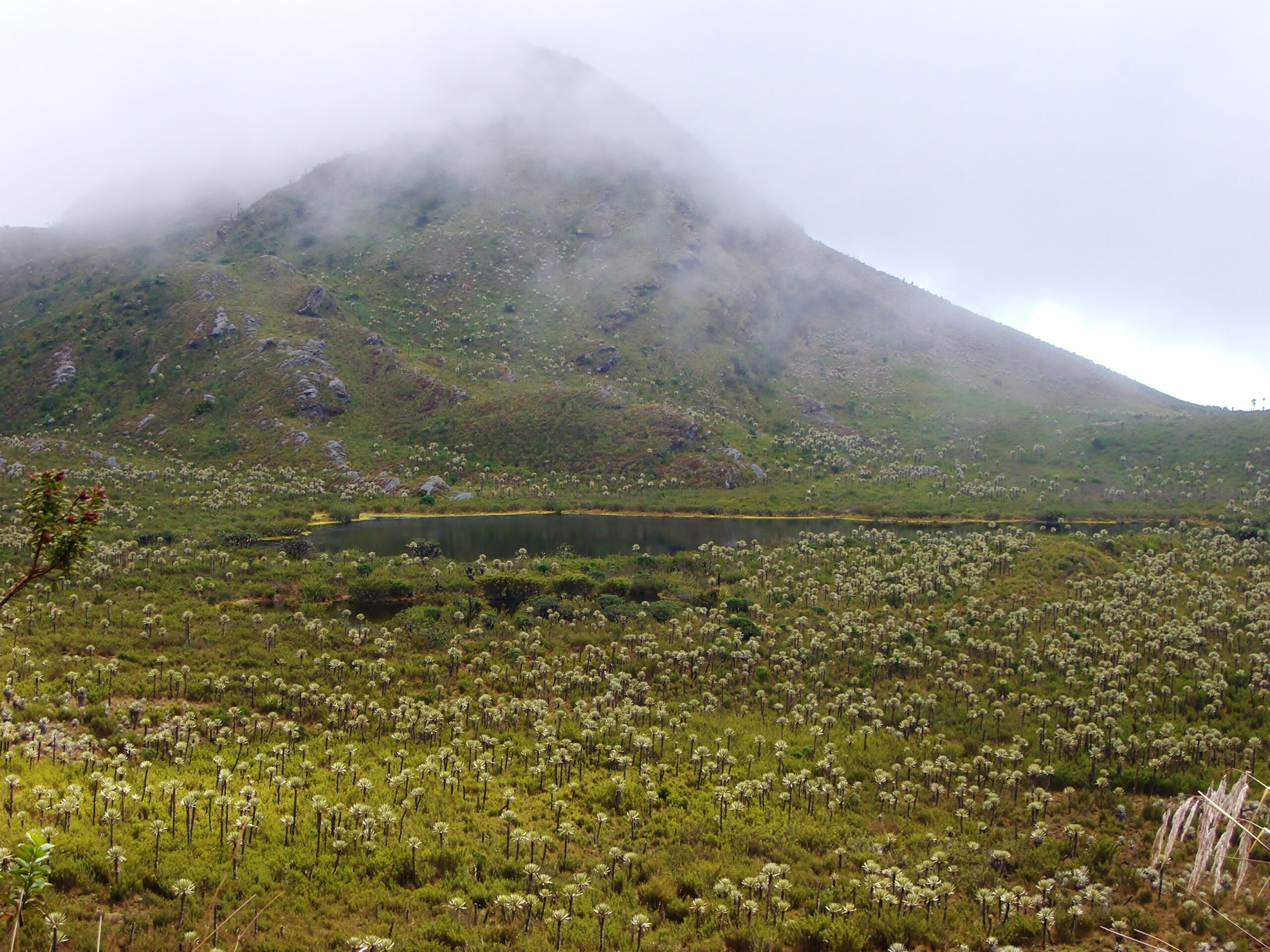 Parque nacional natural Chingaza