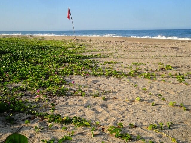 beach, sea, quiet