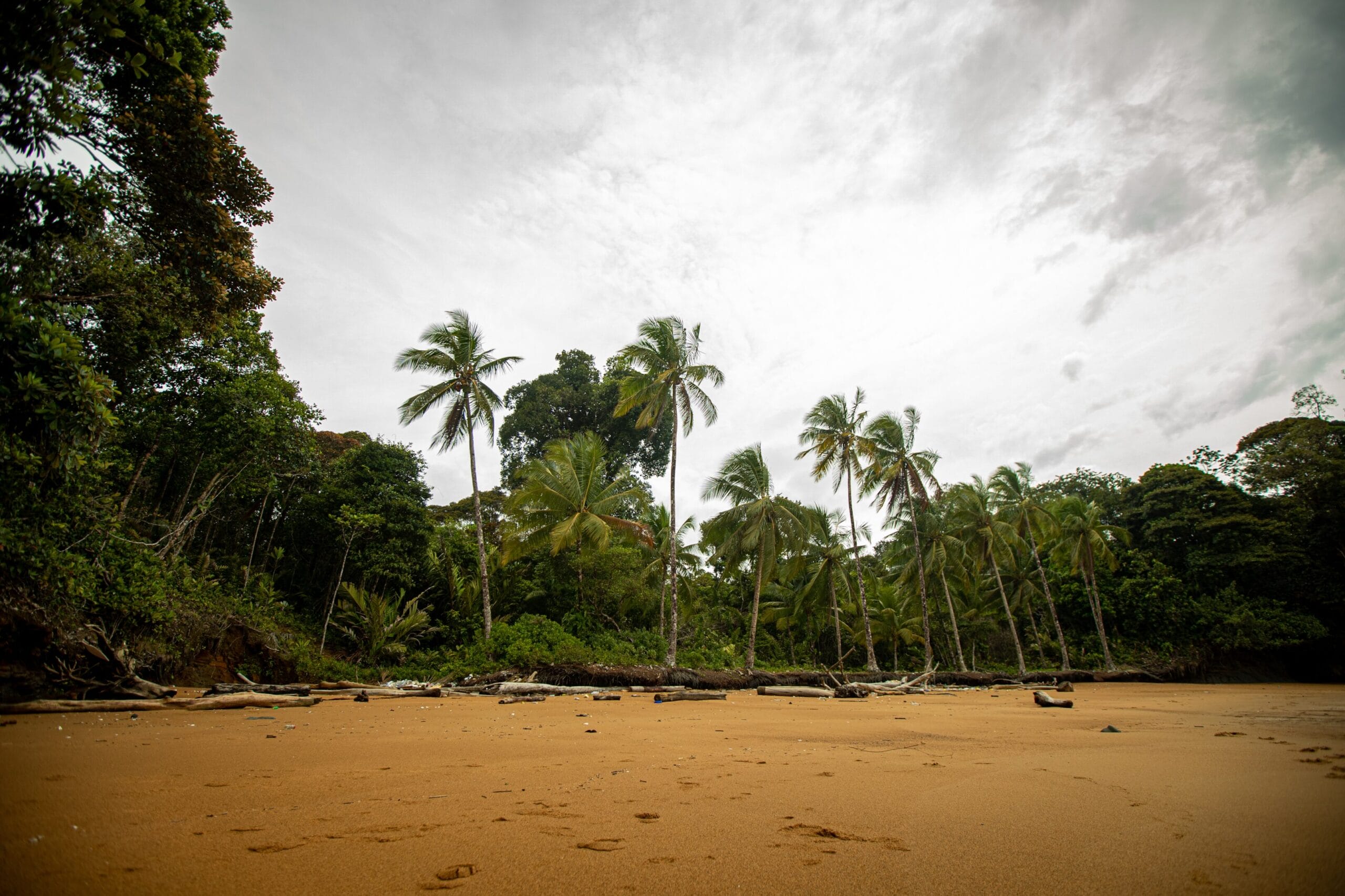 selvas colombianas