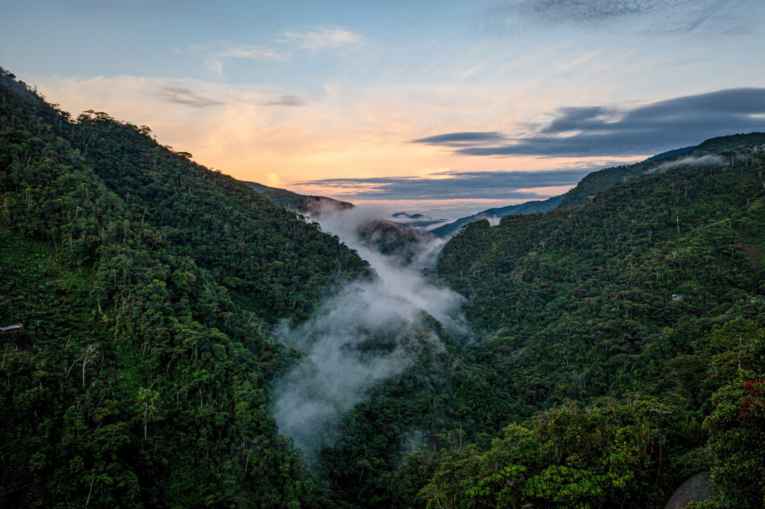 la Biodiversidad de Colombia, segundo país