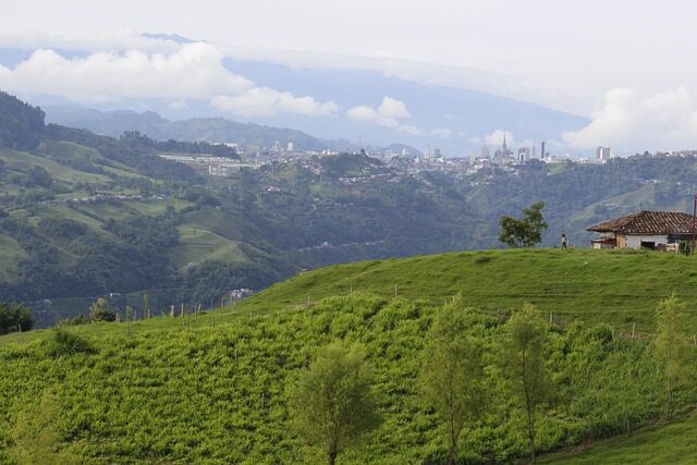 manizales, colombia, coffee