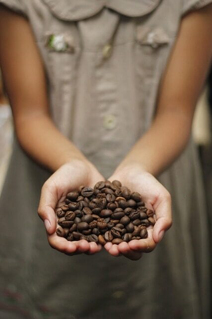 coffee, coffee beans, aroma
