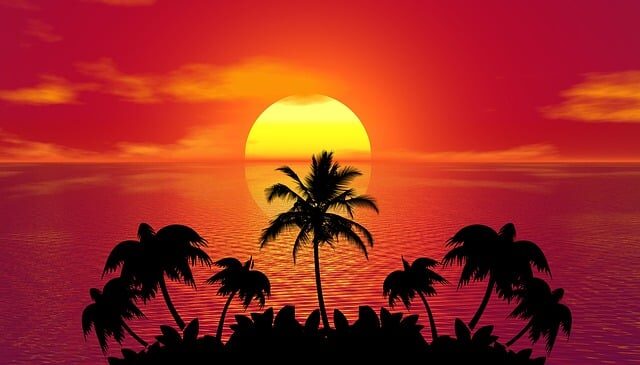 sunset, palm trees, silhouettes, tercera, oriente, país, países, cordillera de los andes, costa rica