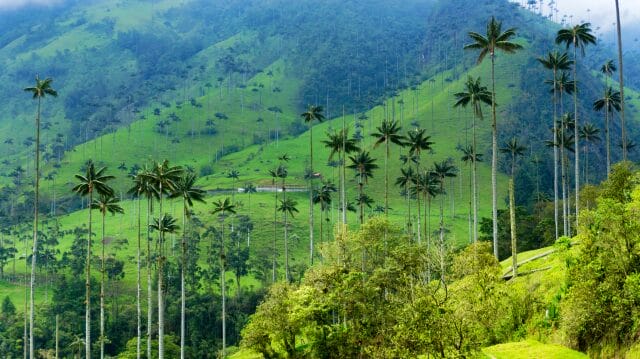 uno de los mejores lugares para visitar en Colombia