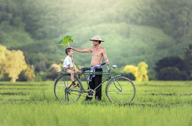 father, son, bicycle