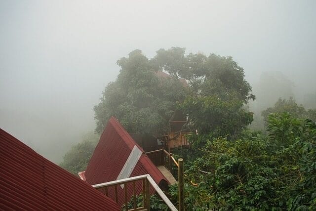 Minca sierra nevada de santa marta