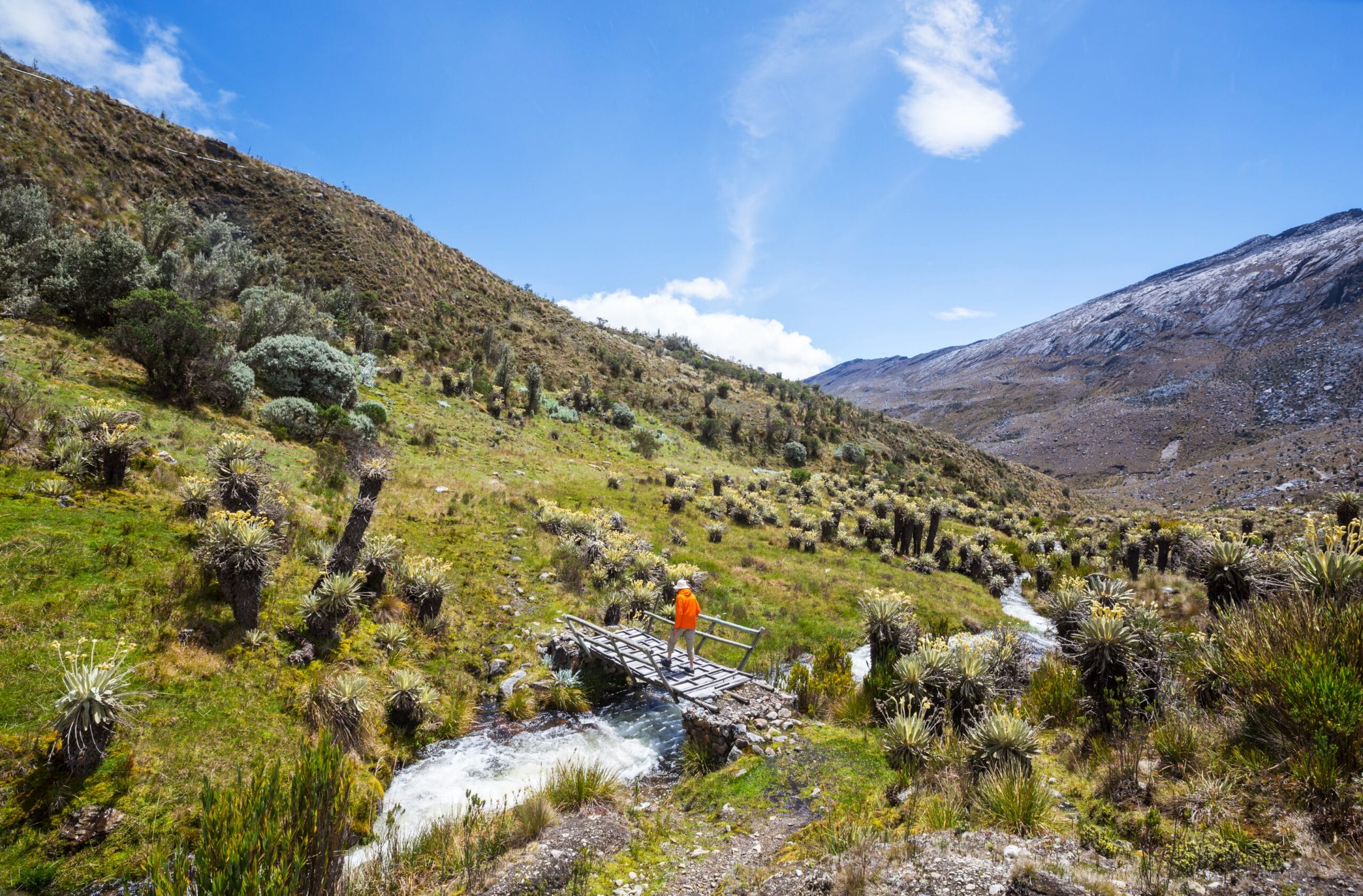 parque nacional natural chingaza