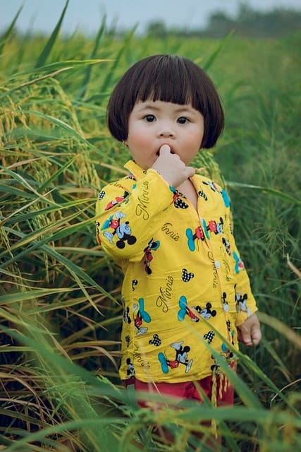 toddler, child, rice field