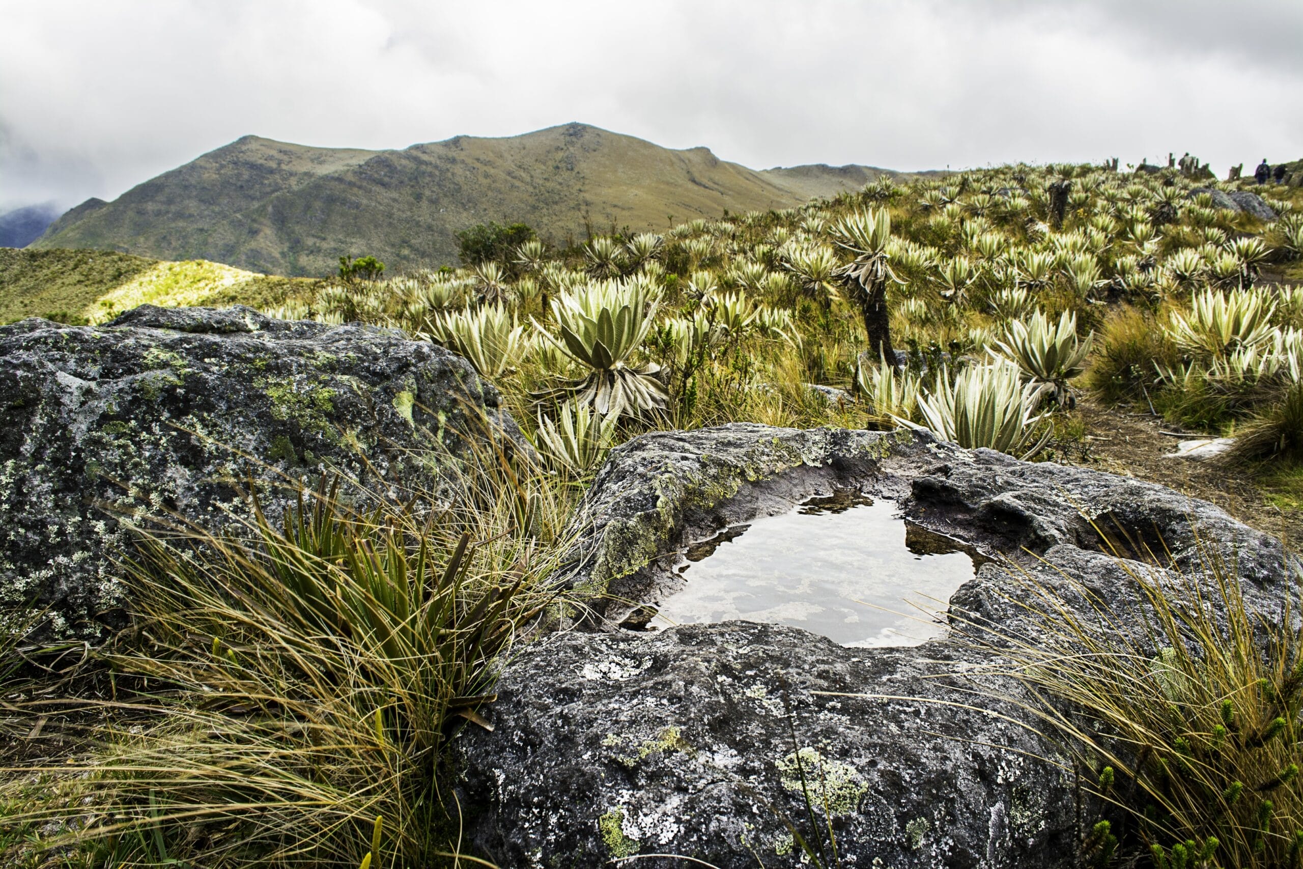 parque nacional natural chingaza