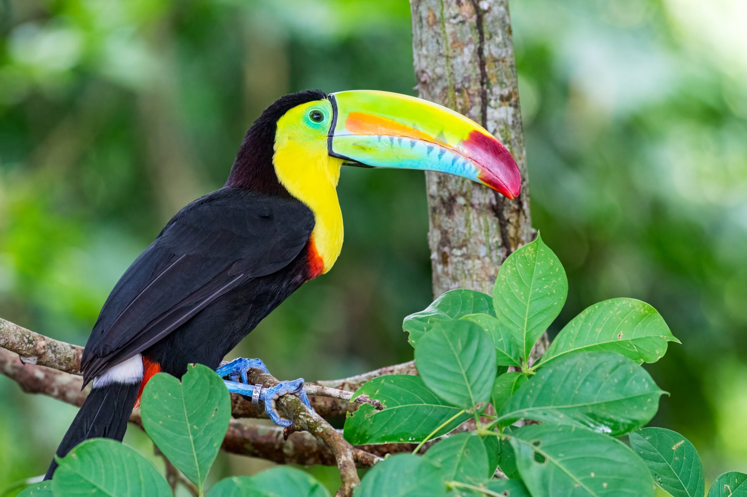 mejor época para viajar a Colombia