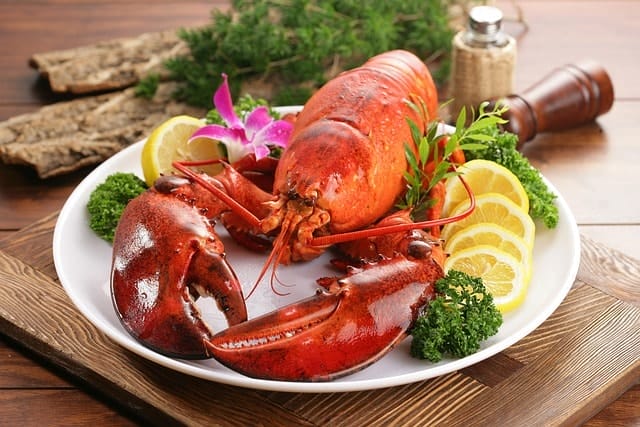 lobster, seafood, ocean