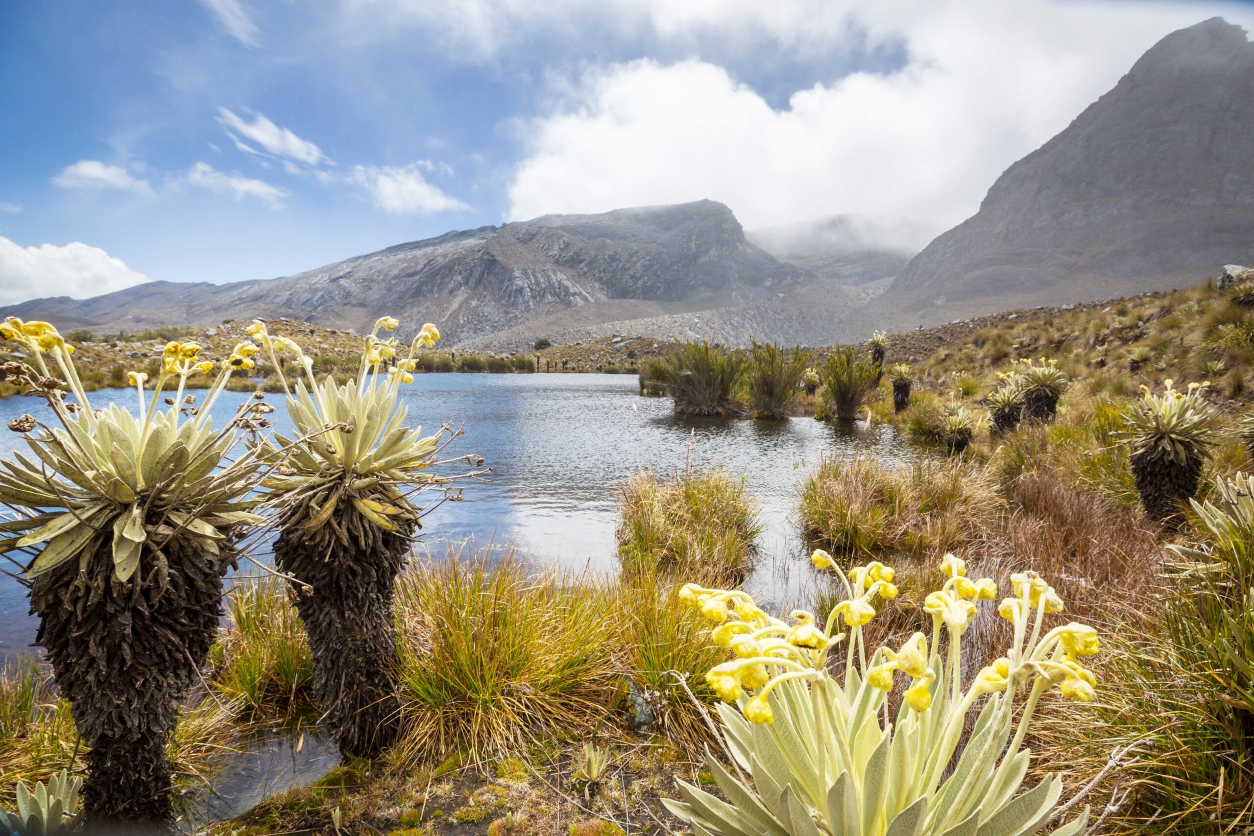 mejor época para viajar a Colombia