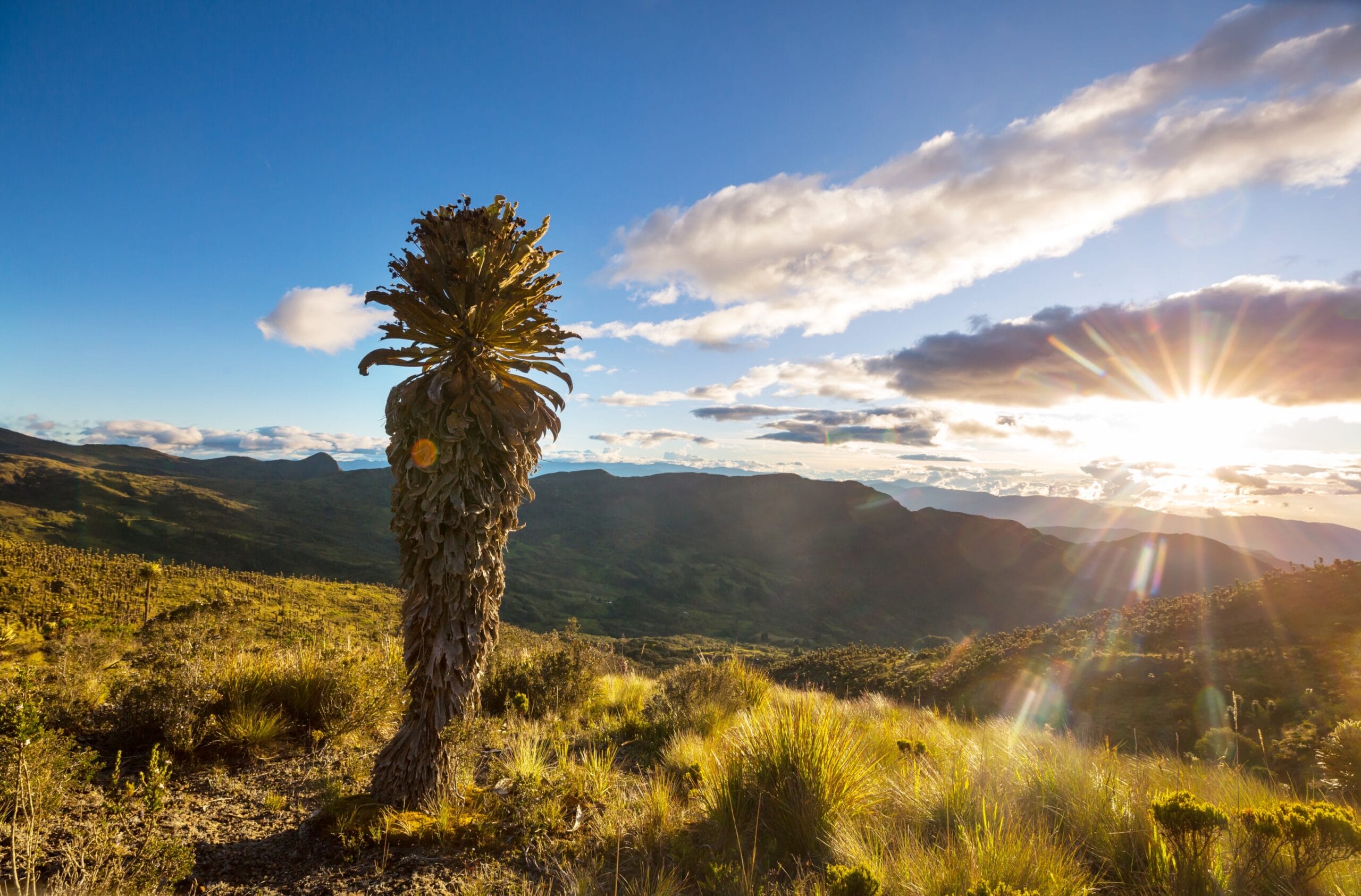 colombia colombia - cambio climático