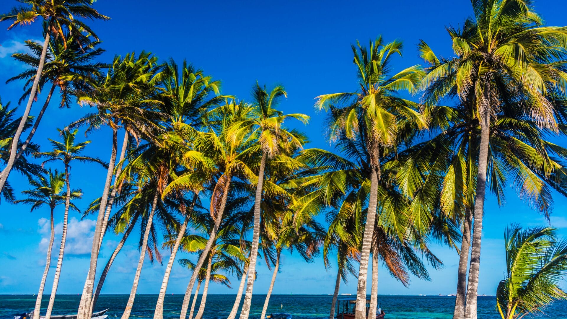 cosas para hacer en la isla de san andrés