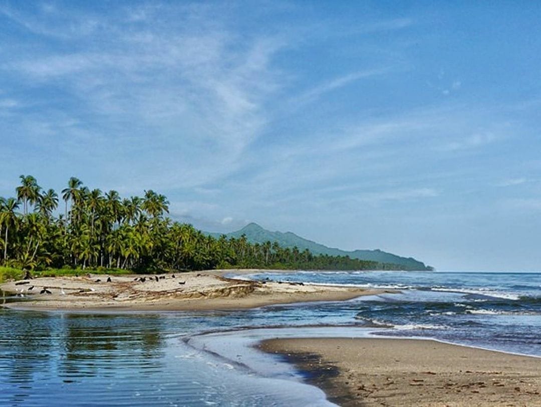 palomino la guajira