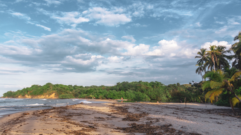 palomino la guajira