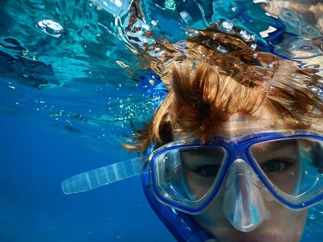 swimming, snorkeling, ocean