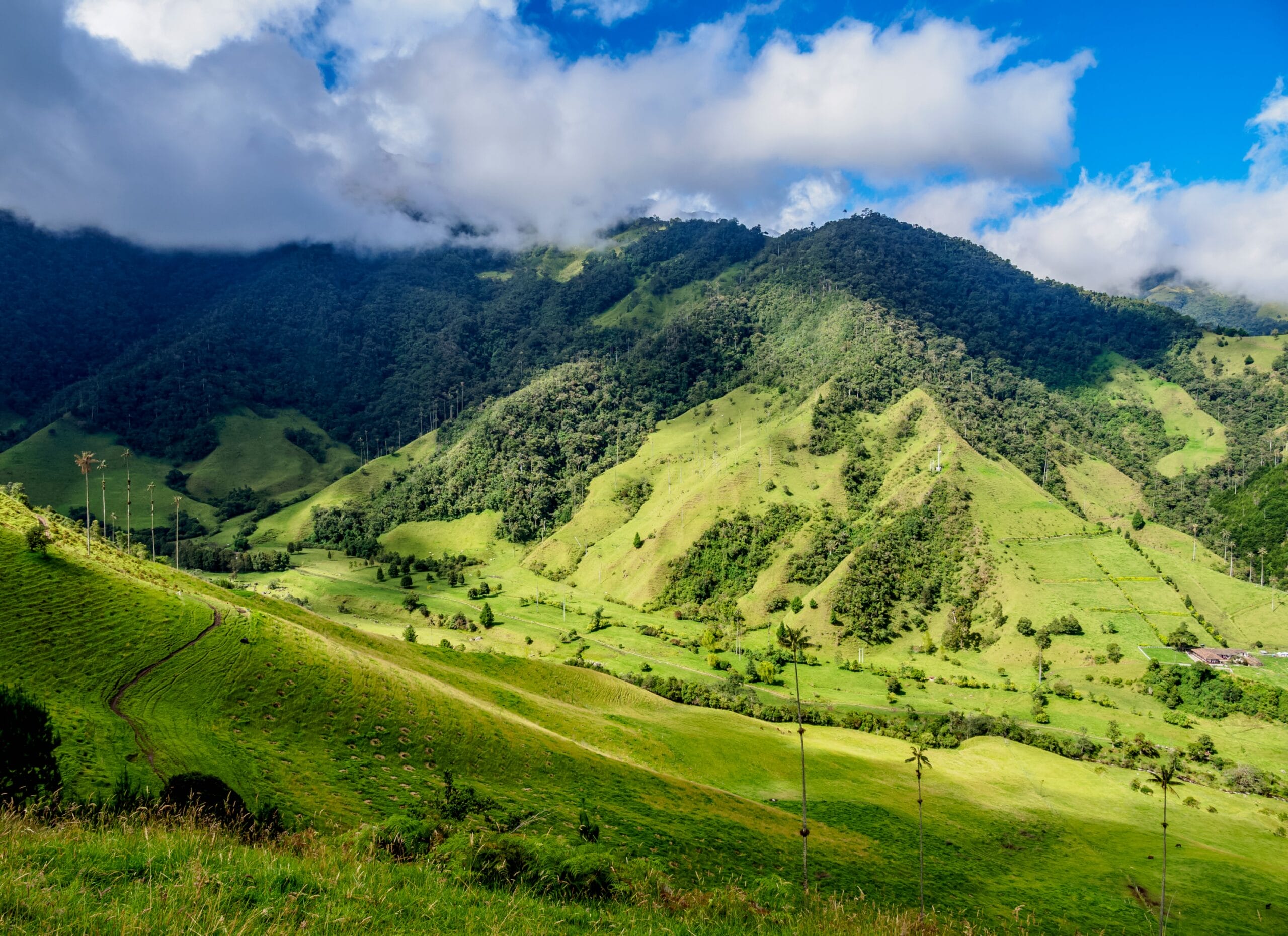 viajes - itinerario - plantillas - ruta - itinerario