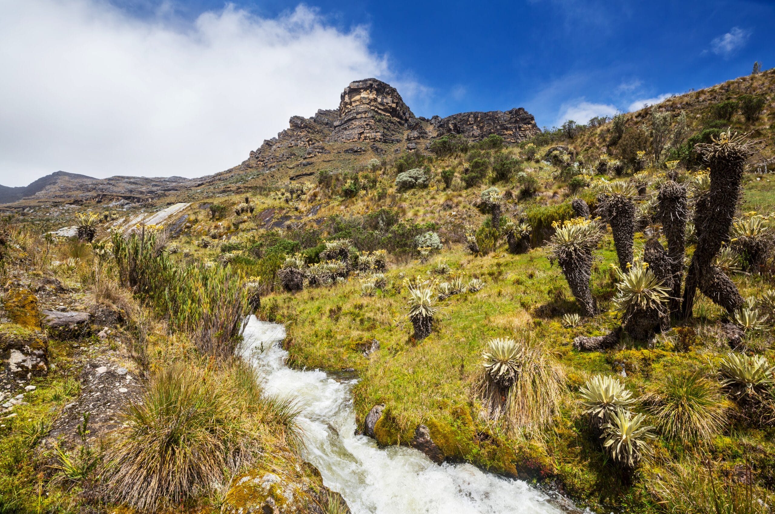 pisos - Parque nevado el cocuy - el cocuy - productor