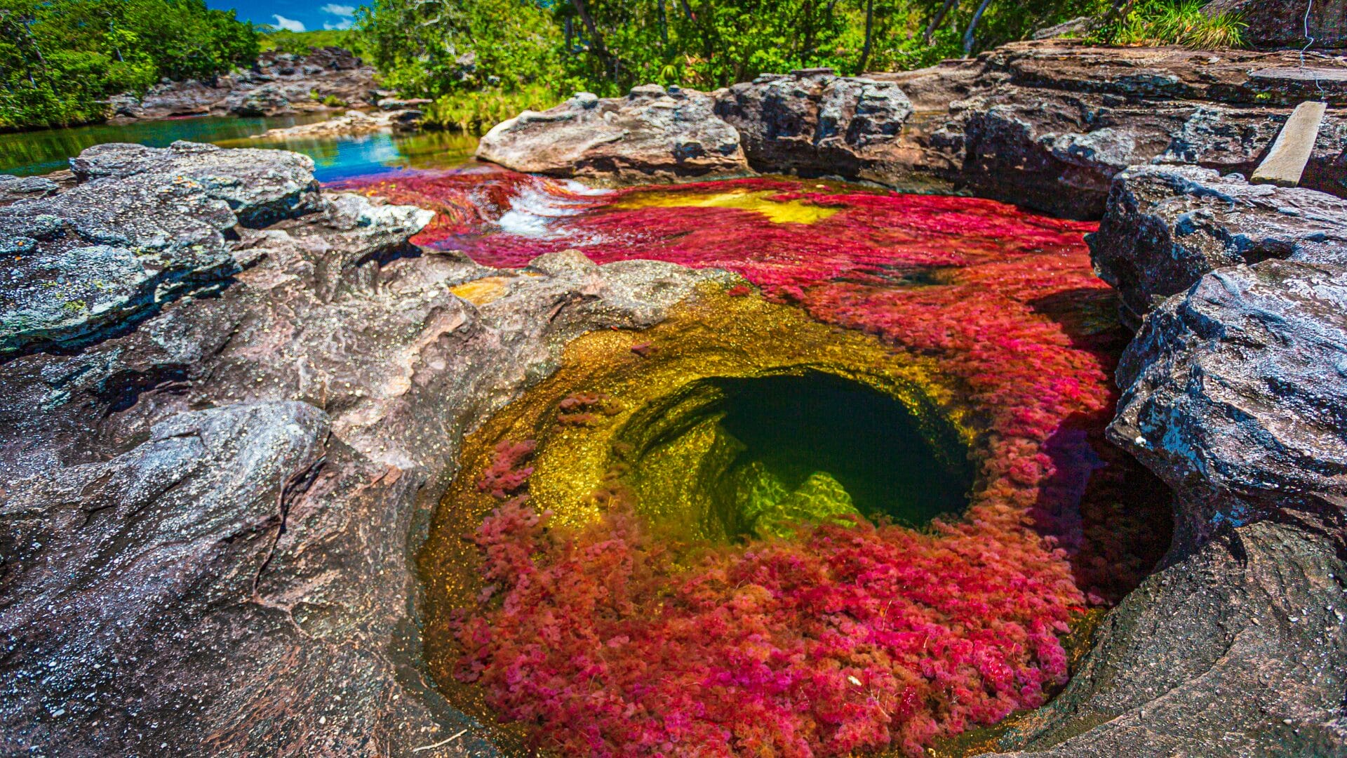 caño cristales