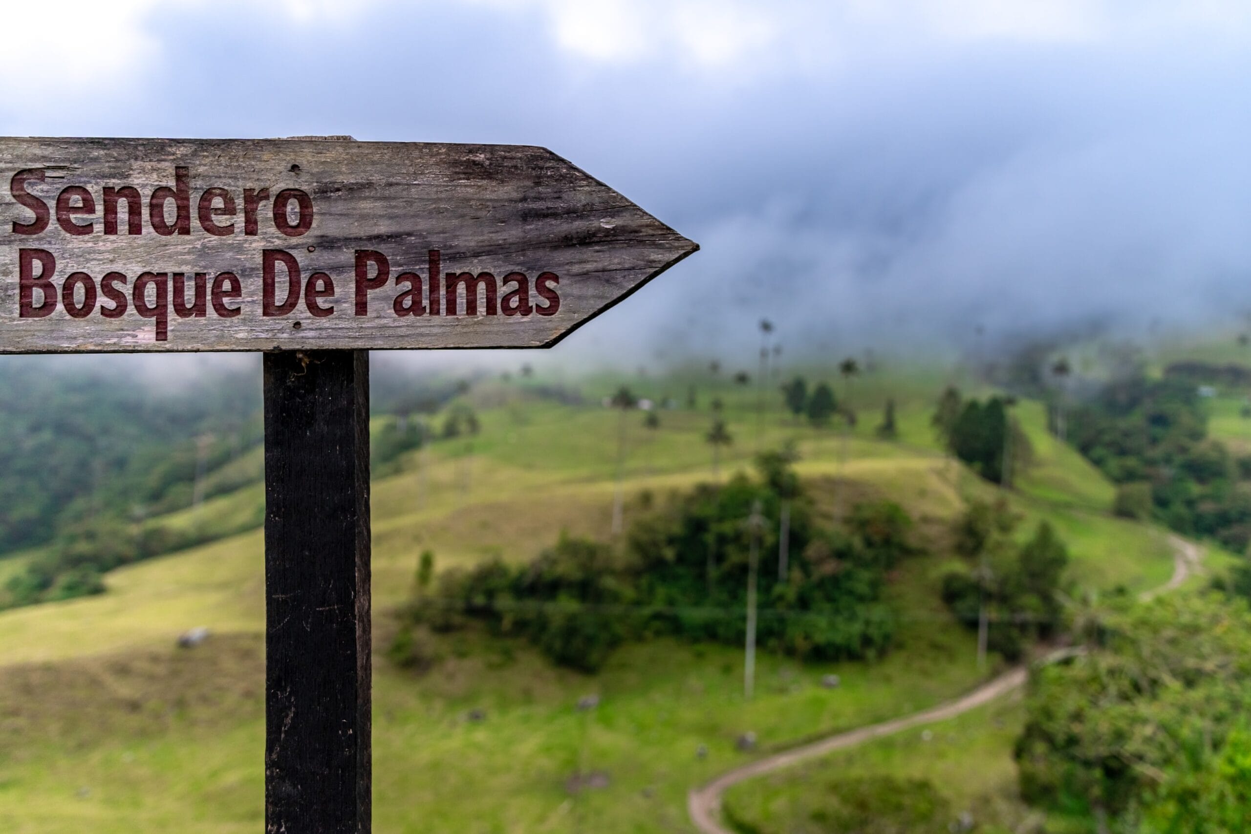 valle de cocora - valle de cocora