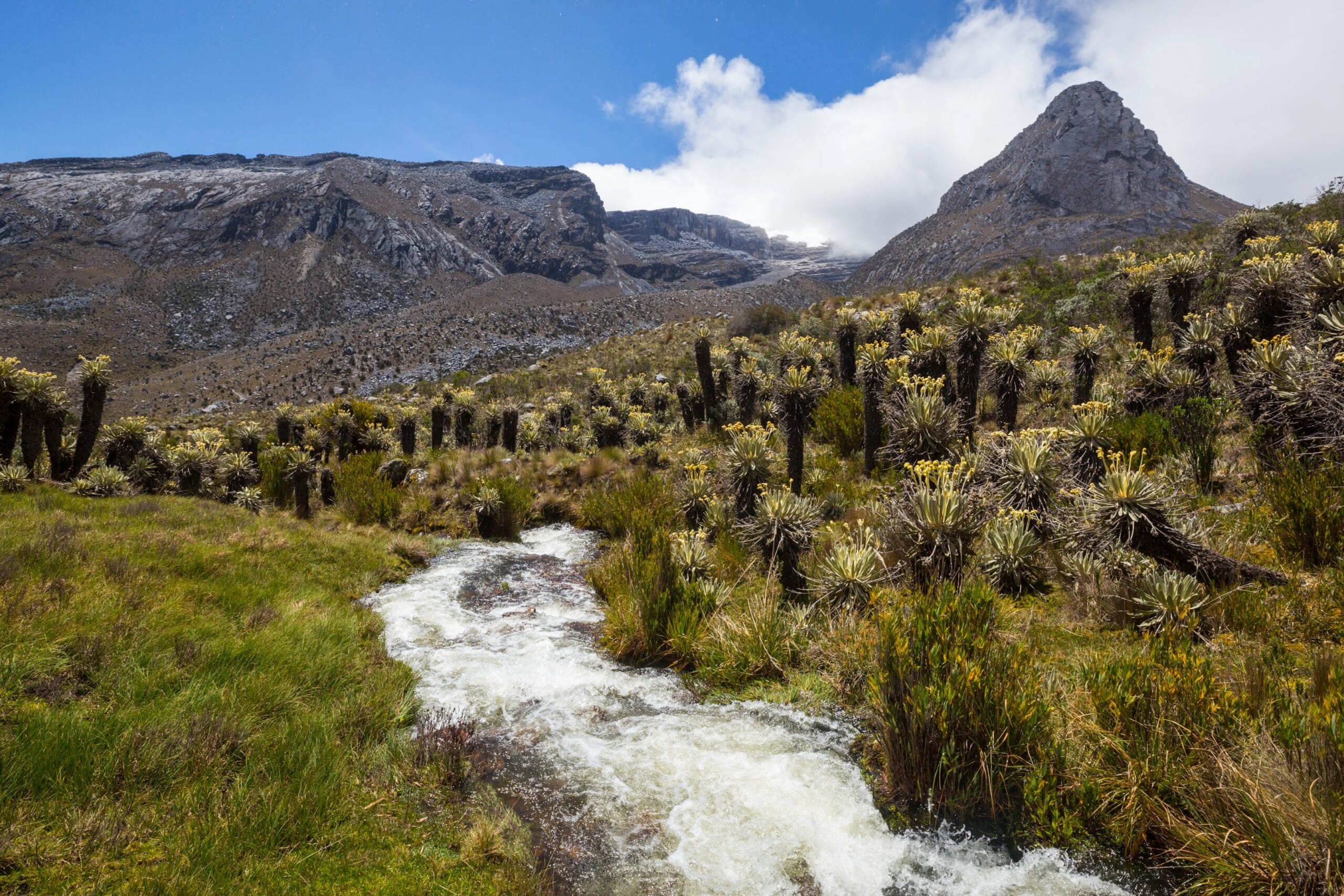 Parque nevado el cocuy - productor