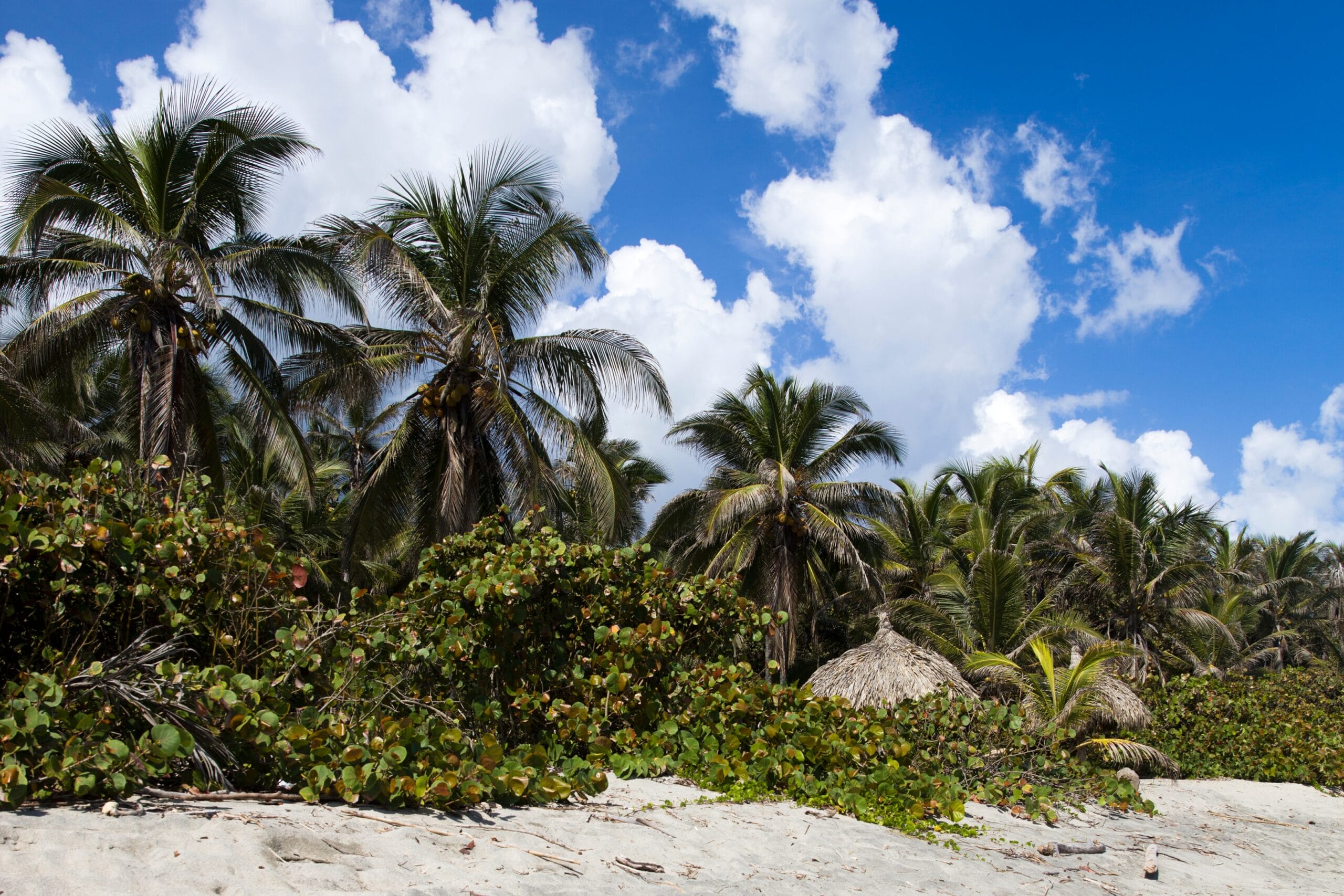 playas en tayrona - parque nacional tayrona - baños públicos - orilla - oleaje - algunas - almuerzo