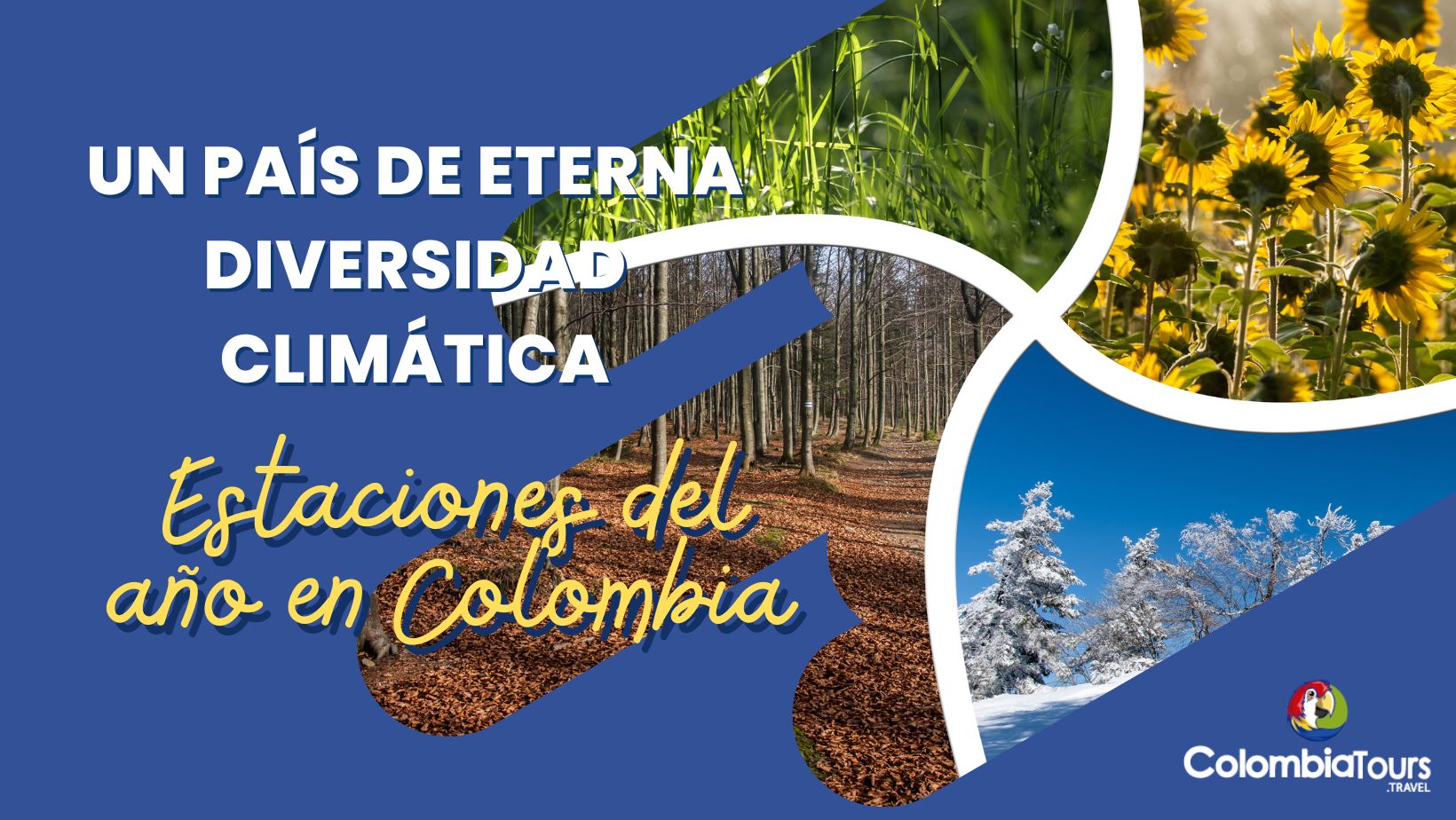 Estaciones del año en Colombia: Un país de eterna diversidad climática