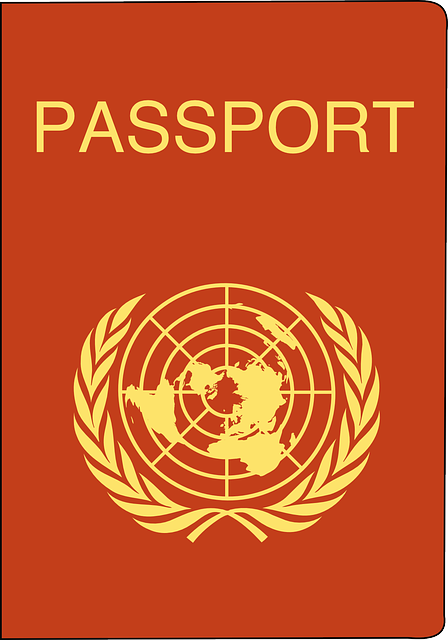 passport, identity, visa, pasaporte colombia