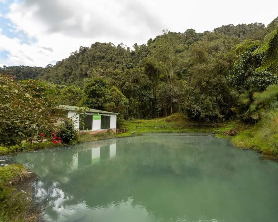 termales san vicente - termales san vicente - función - usuario