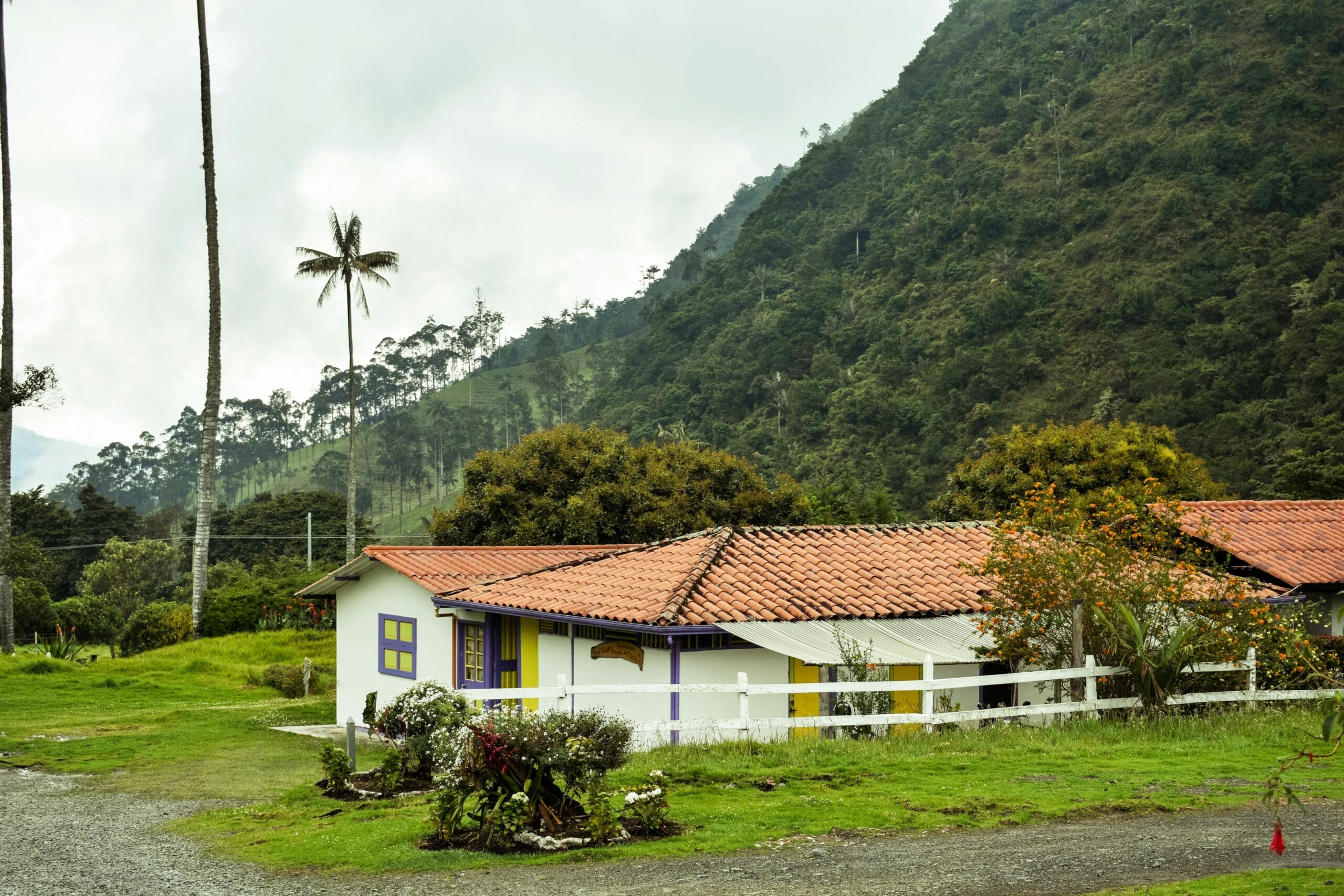 valle de cocora - gente - territorio