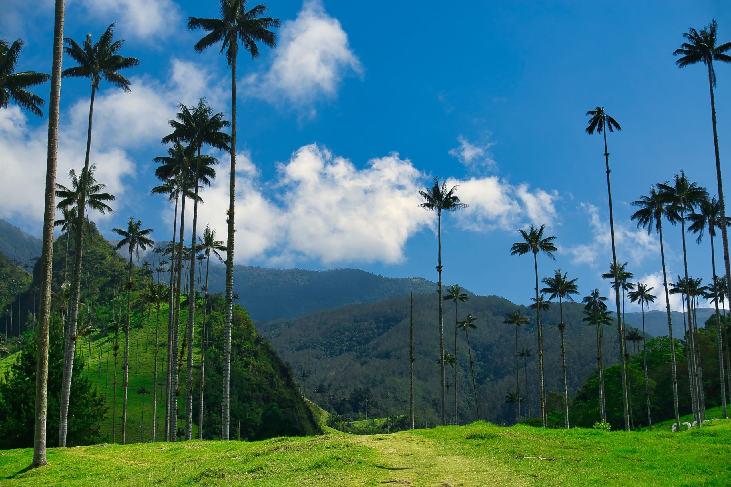 donde viajar en colombia