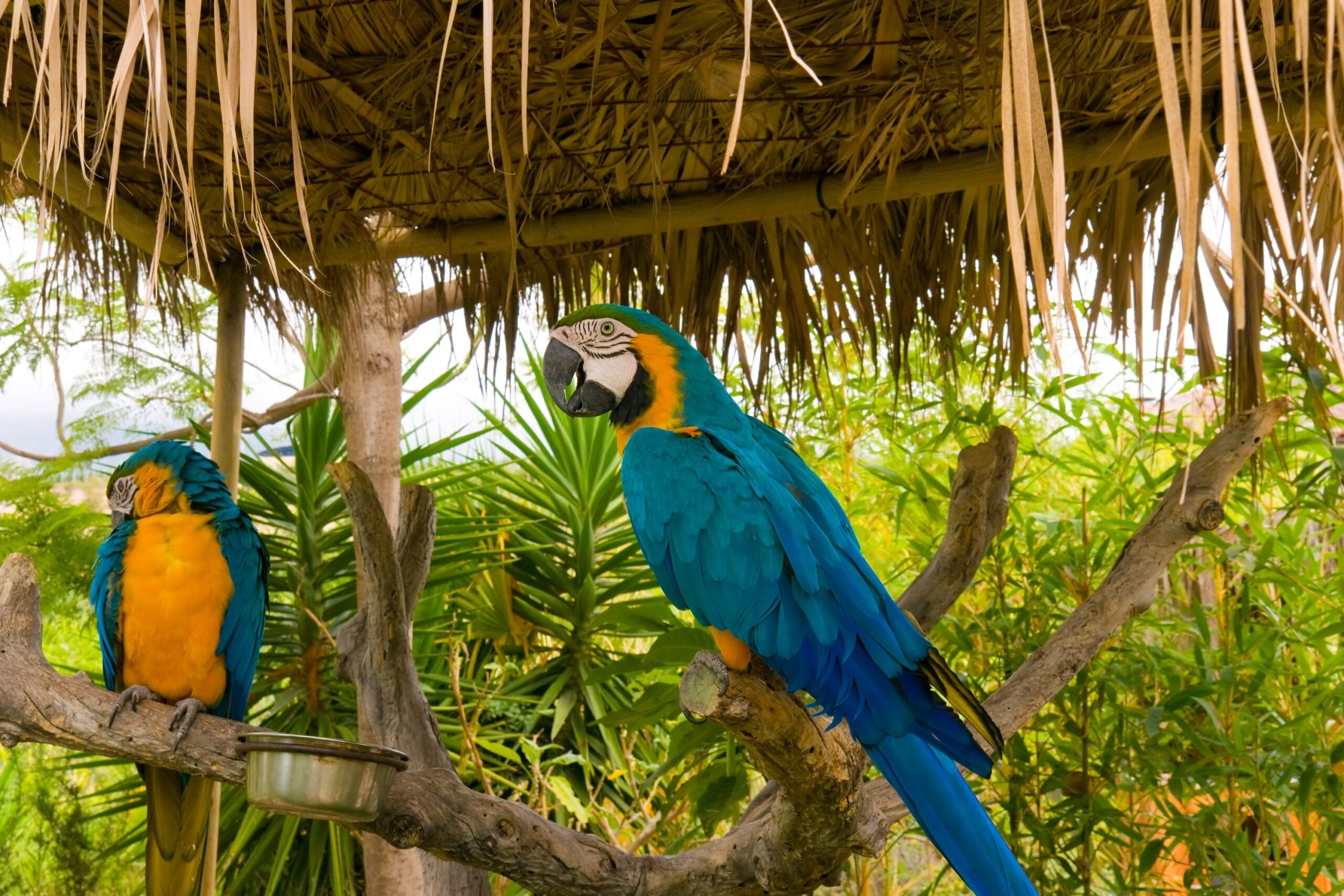 ventajas del ecoturismo