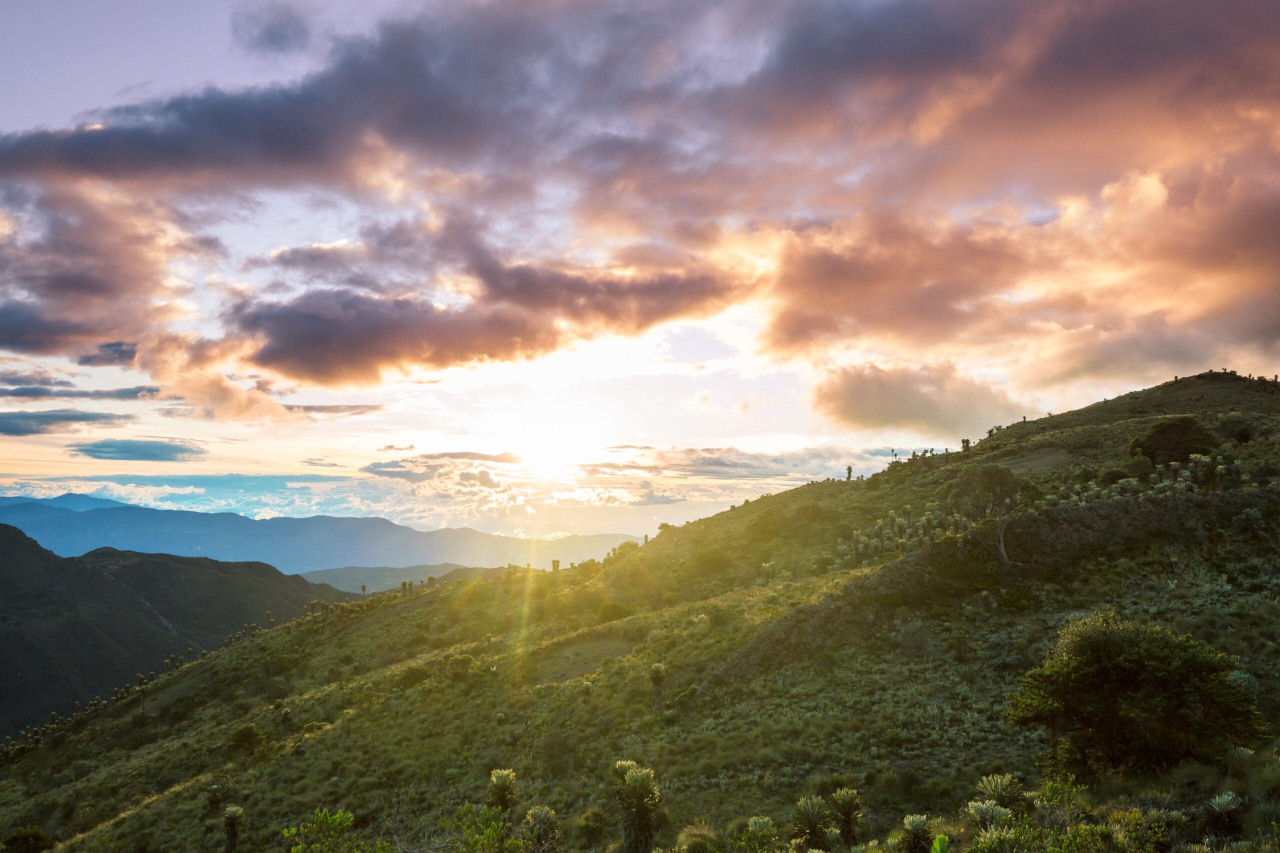 ventajas del ecoturismo