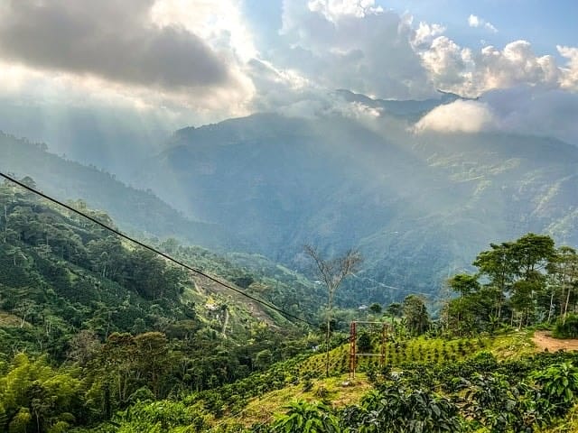 colombia, mountains, trees