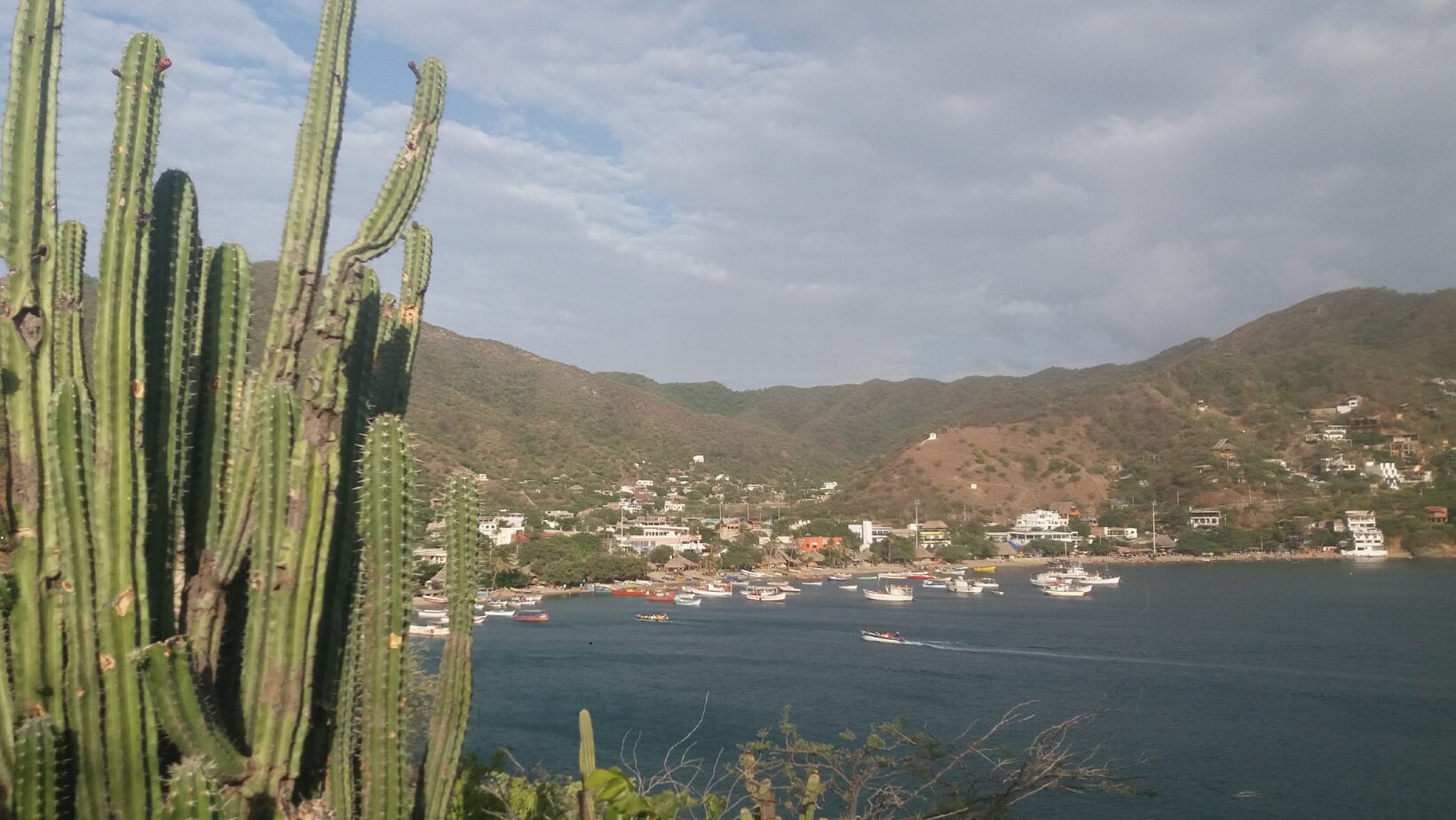 80da7e88 a70b 4e49 a092 eef4812ac78c