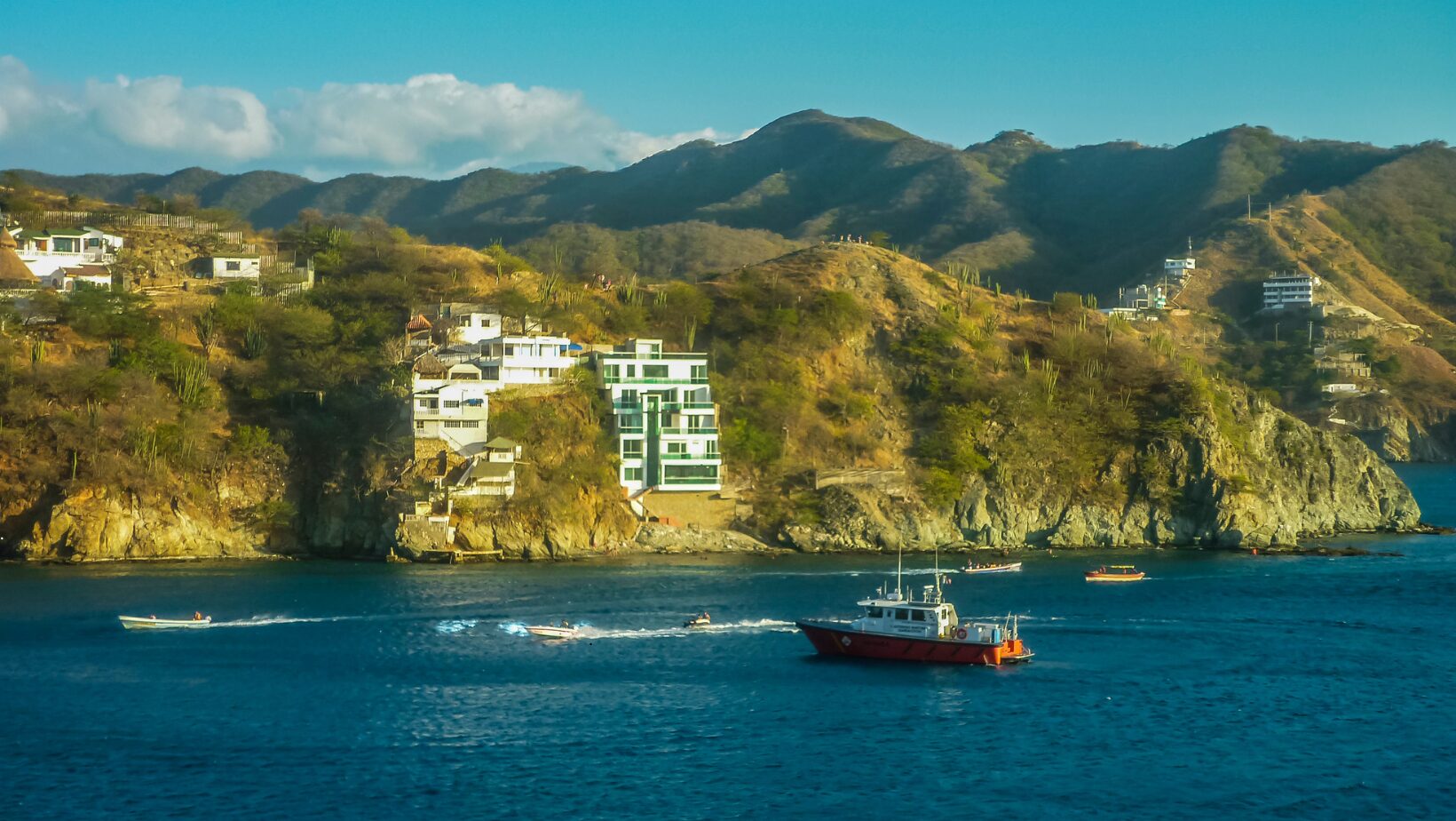 8c376af7 505e 45a8 9cbc 5c03f51c0aa4