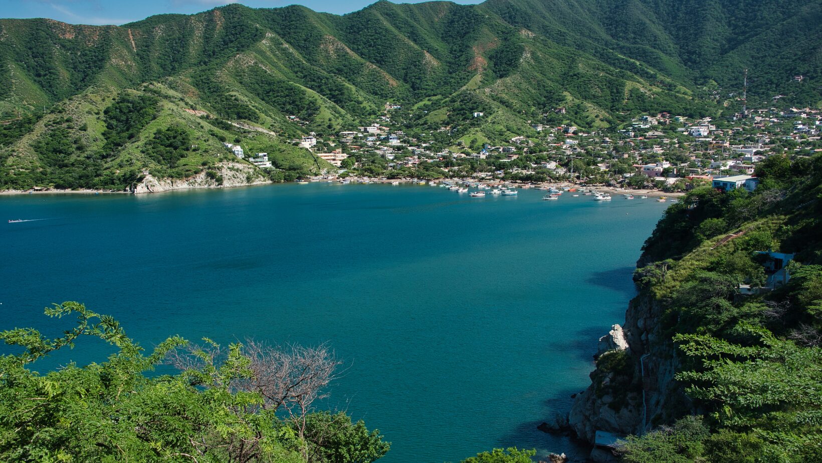 ac0a15f8 5cf7 4c63 a356 317476a6754f