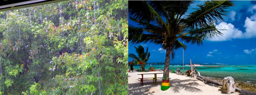 Mejor epoca para viajar a Colombia 10