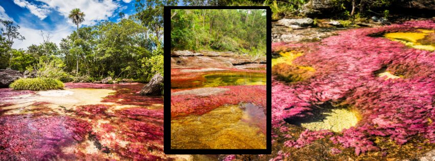 Mejor epoca para viajar a Colombia 12